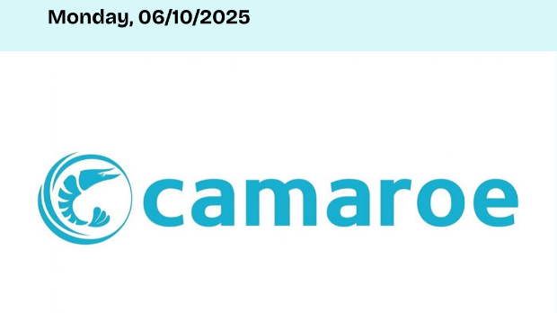 MQ Market Updates - 06 October 2025